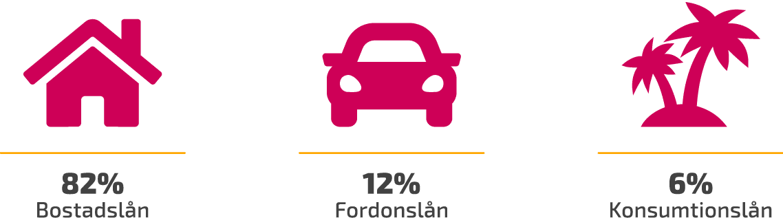 Svenska privatlån - Vad säger statistiken? 2 Uppdelning av svenska lån