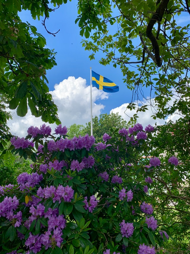 15 saker som kostar mycket mer i Sverige än du tror att de gör 2 En svensk flagga omgiven av blommiga träd och buskar.